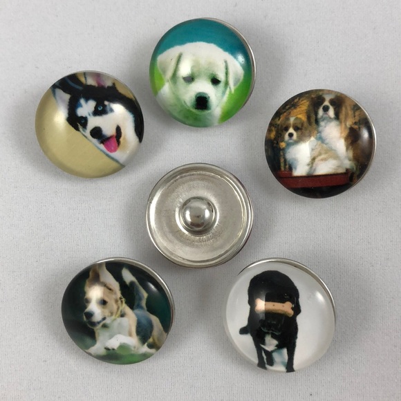 Interchangeable Pup Ginger Snaps - Set E - Picture 3 of 5